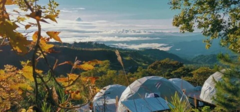 A glamping dome at Kundasang, Sabah, with a white exterior and a transparent window that shows the green hills and blue sky outside, surrounded by trees and flowers.