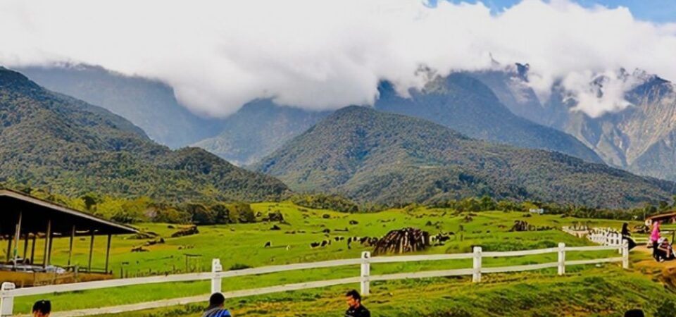 A gate of Desa Cattle Dairy Farm, Kundasang, Sabah, with a sign that says “Desa Cattle Dairy Farm” and a cow logo, and a view of Mount Kinabalu in the background.