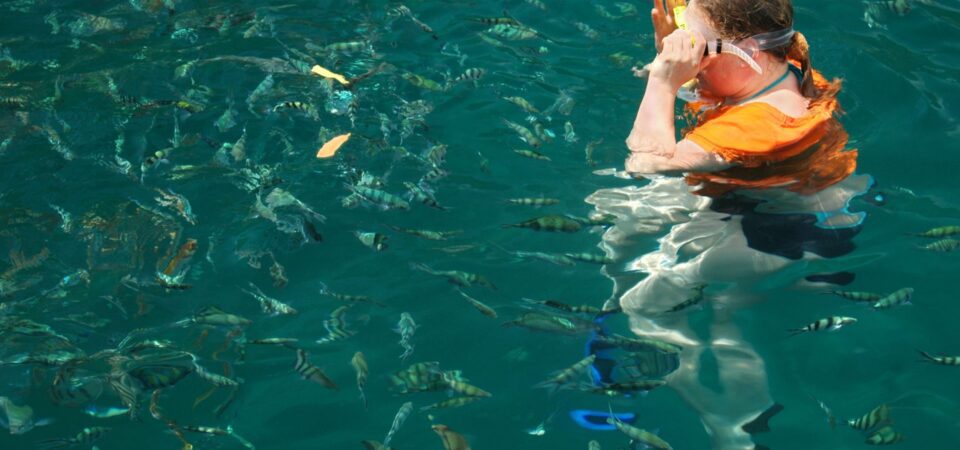 Snorkeling Kota Kinabalu
