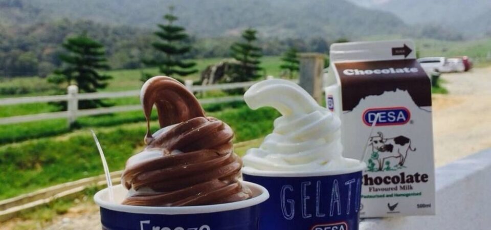 A yogurt at Desa Cattle Dairy Farm, Kundasang, Sabah, with a sign that says “Desa Cattle Dairy Farm” and a cow logo, and a view of Mount Kinabalu in the background.