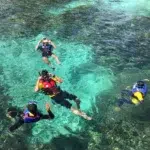 Snorkeling Near Sapi Island Among Vibrant Coral Reefs