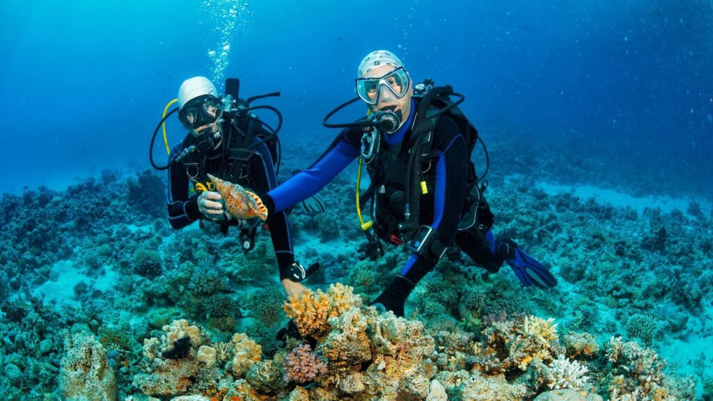 Scuba Diving Kota Kinabalu (For Non-Cert Divers)