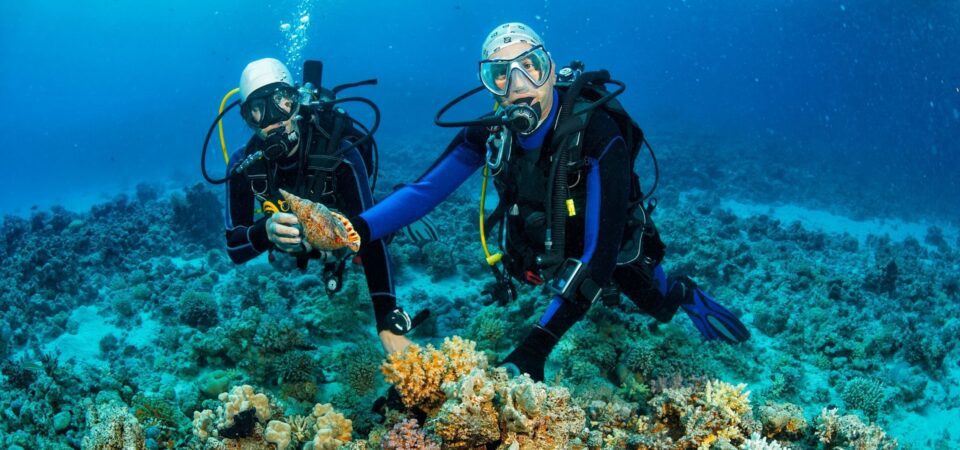 Scuba Diving Kota Kinabalu (For Non-Cert Divers)