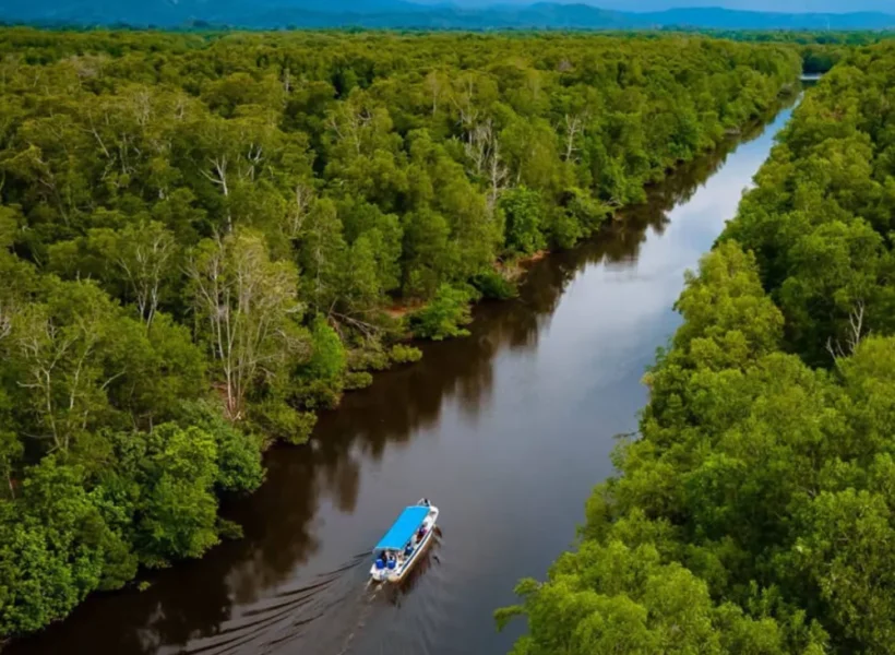 Boat Cruising Along the Kinabatangan River