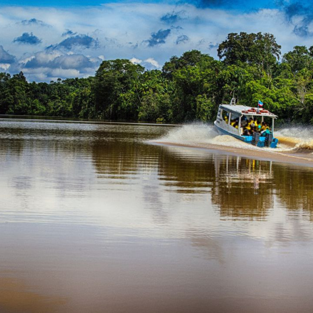 2D1N Kinabatangan River Tour