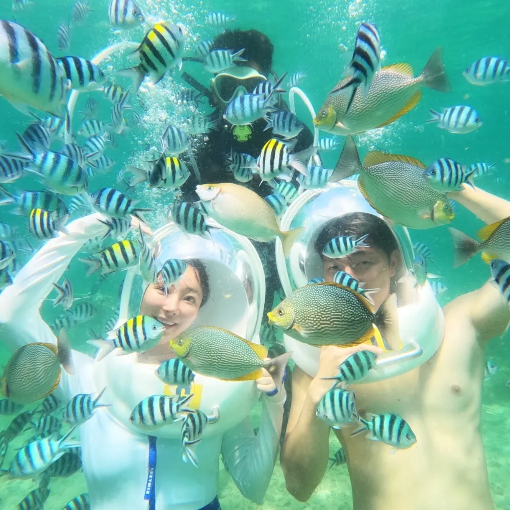 Mamutik Island Underwater Adventure