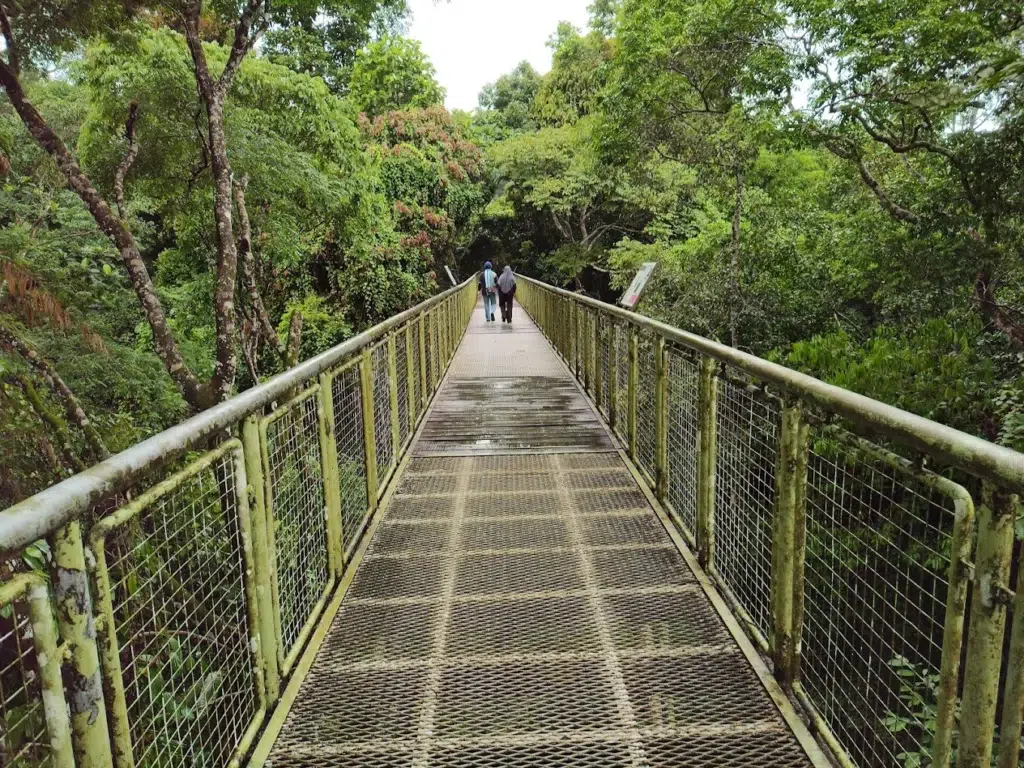 Top 10 Spectacular Attractions in Sandakan, Sabah: Wildlife, Culture & Nature Wonders 5 rdc by Akmal Razak | Milas Travel