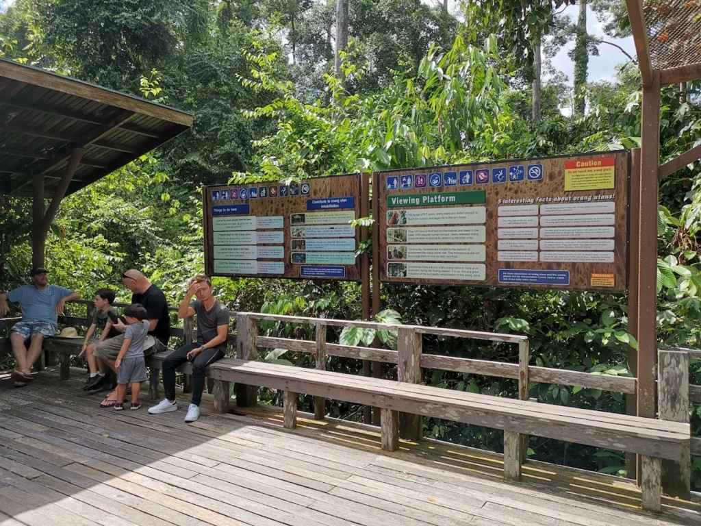 Best Guide to Visiting Sepilok Orangutan Rehabilitation Centre (#1 Planning Tips) 11 sitting-area-sepilok-orangutan-rehabilitation