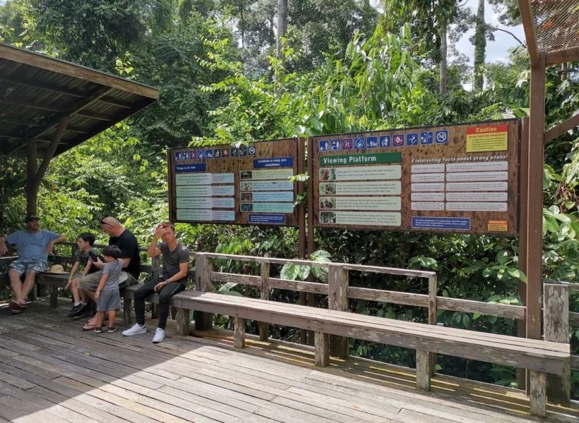sitting-and-viewing-area-sepilok-orangutan-rehabilitation