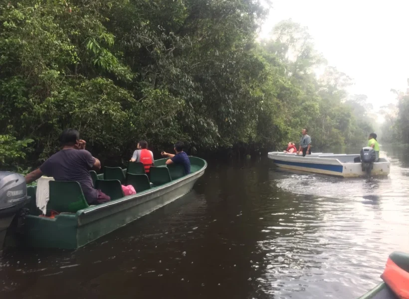 Kinabatangan River cruise