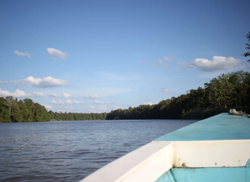 kinabatangan-river-cruise-wildlife-and-nature-tours