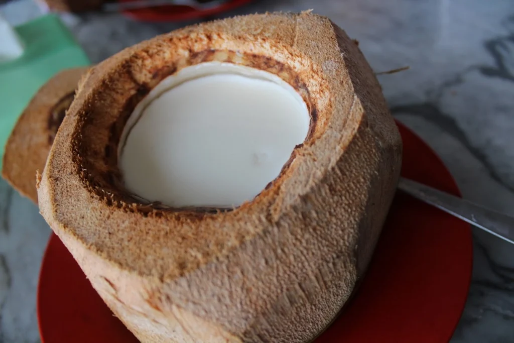 coconut-pudding- Top Best Foods in sandakan