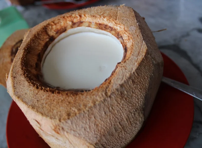 coconut-pudding- Top Best Foods in sandakan