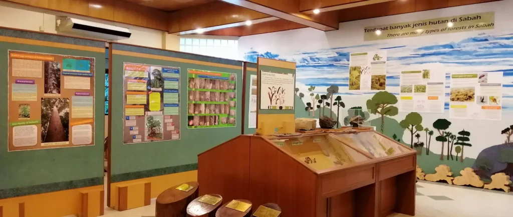 Best Rainy Day Activities in Sandakan 2025: What to Do When It Pours 5 exhibition-hall-rdc- Top 5 Things to Do in Sandakan When It Rains