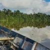 kinabatangan river cruise tour- a feature image for the 3D2N Sandakan Nature and City Tour