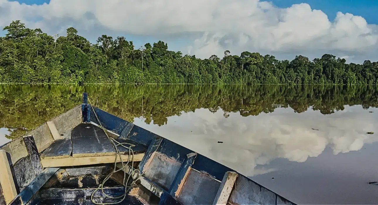 kinabatangan river