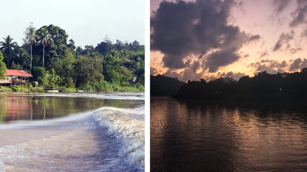 Unforgettable Kinabatangan River Cruise: Everything You Need to Know in 2025 6 kinabatangan-day-vs-night