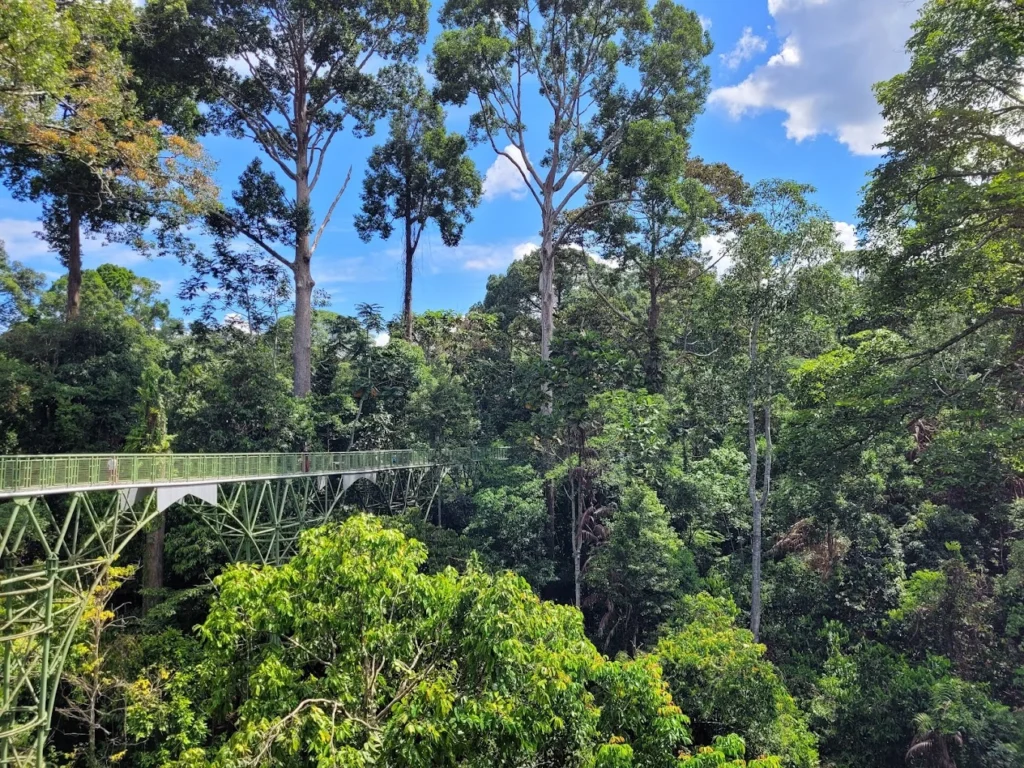 Best Guide to Visiting Sepilok Orangutan Rehabilitation Centre (#1 Planning Tips) 14 rdc by Andy Loeber | Milas Travel