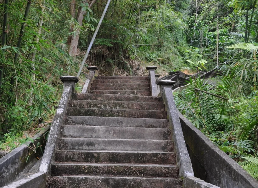 Remain of Old Stairs in Sandakan, part of the Sandakan Heritage Trail, showing weathered concrete steps surrounded by greenery.