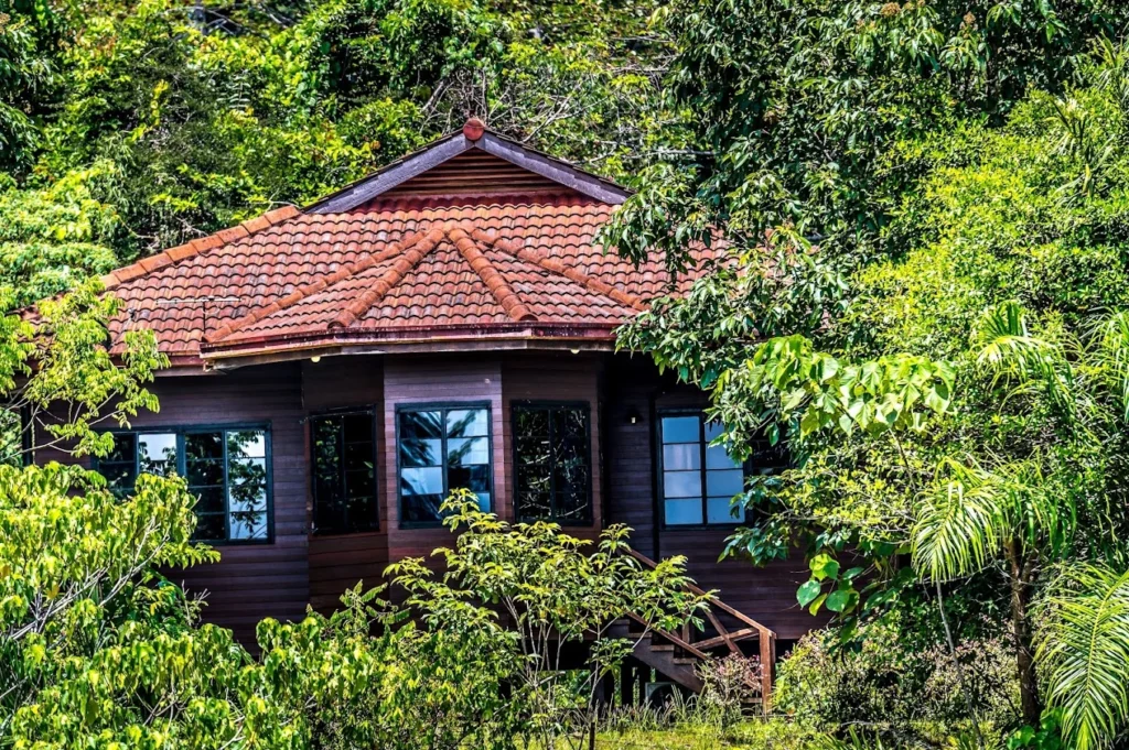 Best Guide to Visiting Sepilok Orangutan Rehabilitation Centre (#1 Planning Tips) 17 sepilok-forest-edge-resort-sandakan