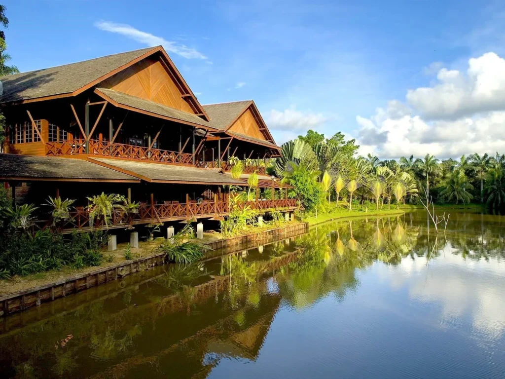 Best Guide to Visiting Sepilok Orangutan Rehabilitation Centre (#1 Planning Tips) 15 sepilok-nature-lodge-sandakan