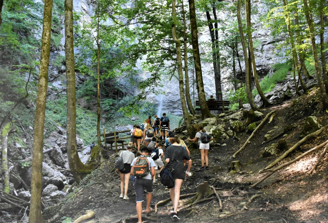 best wildlife and nature tours