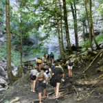 best wildlife and nature tours