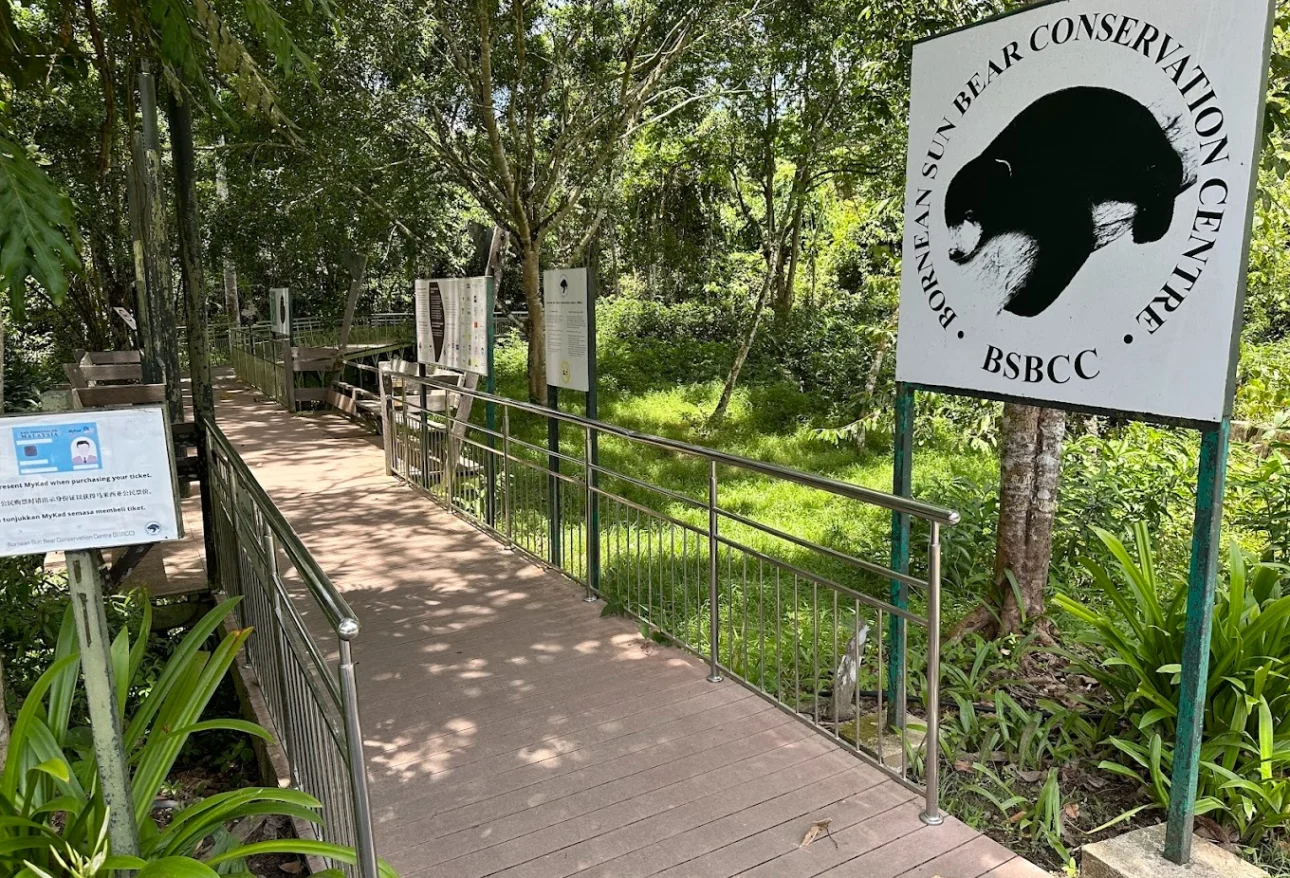 5 Powerful Reasons to Visit the Bornean Sun Bear Conservation Centre