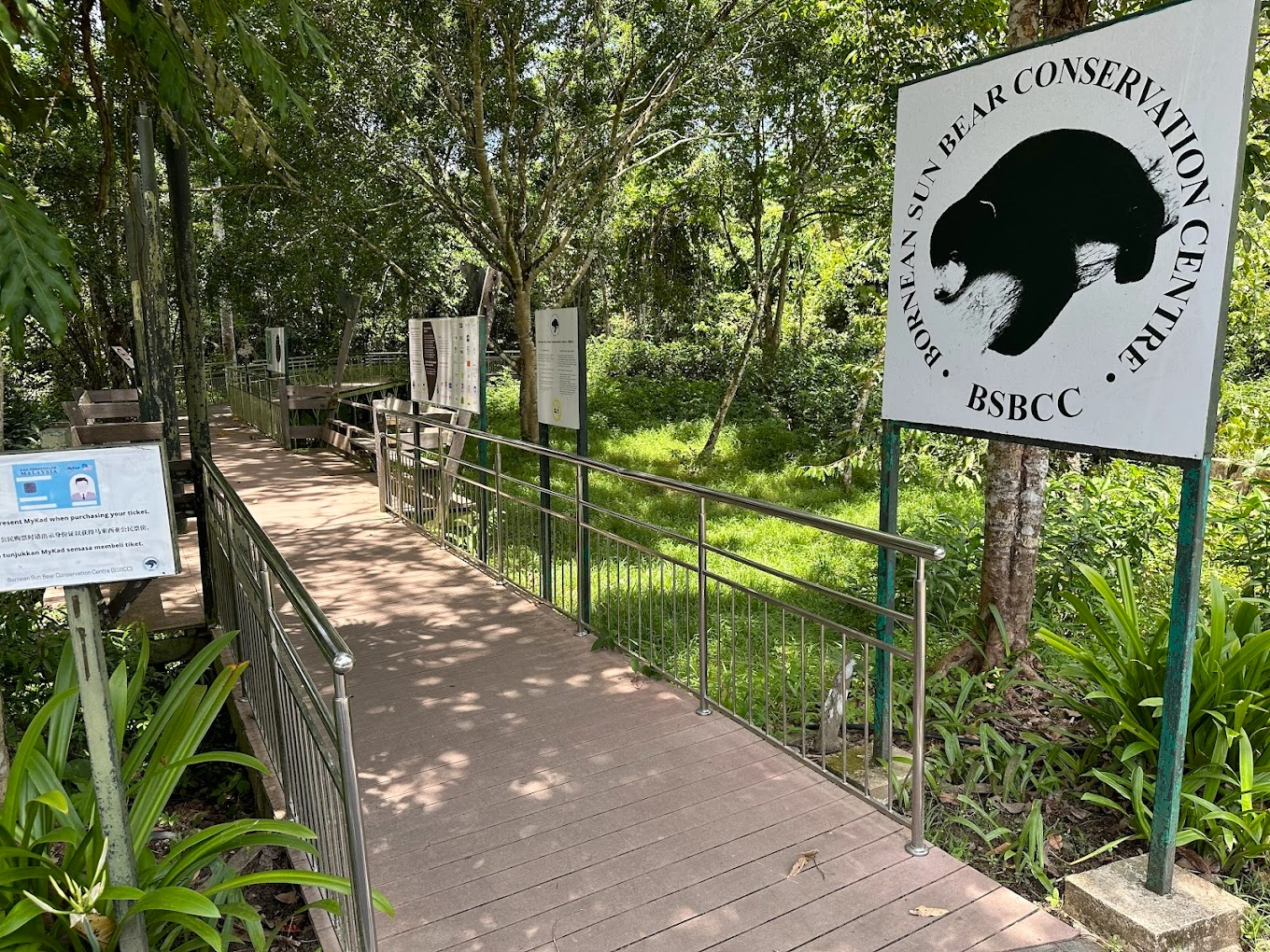 5 Powerful Reasons to Visit the Bornean Sun Bear Conservation Centre