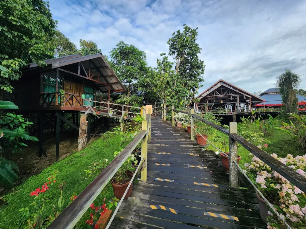 Best Places to Stay in Sandakan 2025: Town, Sepilok, or Kinabatangan? 6 Borneo Sepilok Rainforest Resort by David The Explorer Hogan Jr | Milas Travel