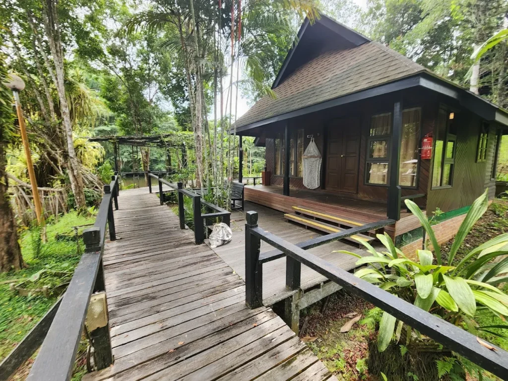 Best Places to Stay in Sandakan 2025: Town, Sepilok, or Kinabatangan? 5 sepilok nature resort
