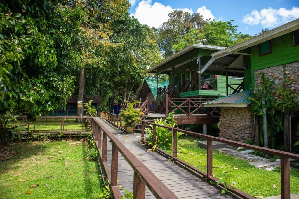 The Best Sandakan Guide for Solo Travelers in 2025: Safety, Budgeting & Experiences 12 sukau greenview