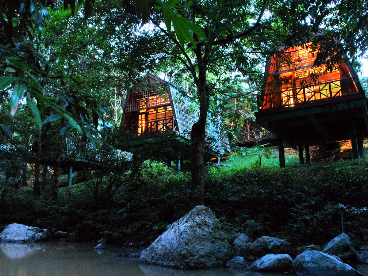 3D2N Tabin Wildlife Safari | Immersive Rainforest & Wildlife Safari